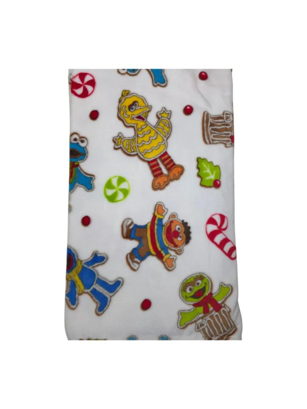 Sesame Street Decorative Throw Blanket 50